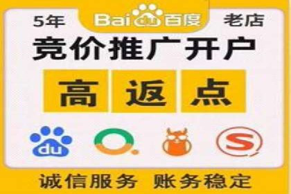 百度品牌广告的创意与执行案例